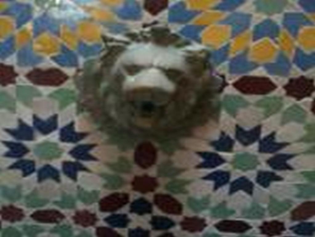 Riad Etoile D'Ес-Сувейра Екстер'єр фото